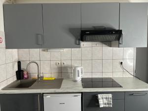 Appartements Le Roch - T3 Cosy & Spacieux : photos des chambres