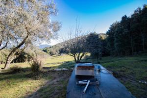 Maisons de vacances Chez Jean Viti : photos des chambres
