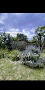 Quinta Las Ardillas lujan