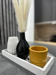 Apartment SaGo - 克劳斯塔尔采勒费尔德