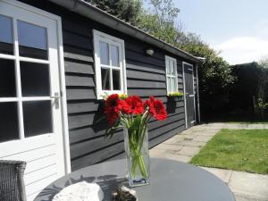 Luxe Appartement Duinoord