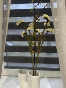 Apartment SaGo