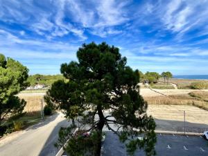 Appartement 2 pièces 4 couchages ARGELES SUR MER AR600-033