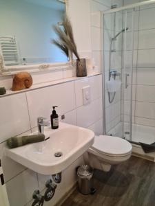 Pilgrims "Dobby" 1 SZ wifi