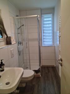 Pilgrims "Dobby" 1 SZ wifi