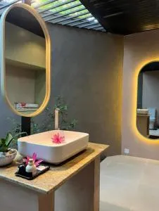 Ceylan trees - Mailagamuwa