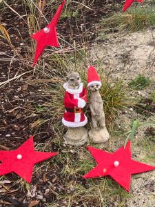 Hotel Pension Ottenheide