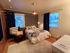 Arctic Villa-under the northernlights