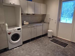 Arctic Villa-under the northernlights