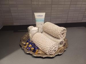 Arctic Villa-under the northernlights