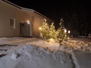 Arctic Villa-under the northernlights