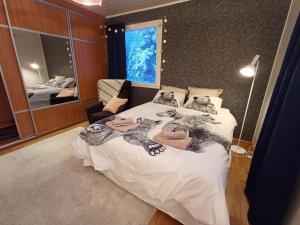 Arctic Villa-under the northernlights