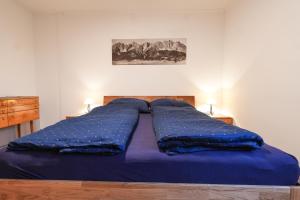 Haus Fini - Ski In Ski Out