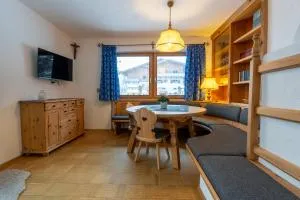 Haus Fini - Ski In Ski Out - 米特西尔