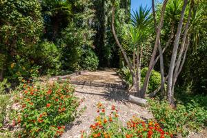 Calme absolu, élégant et arboré avec piscine