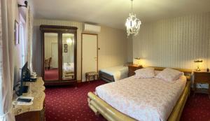 Hotels Hotel De La Loire : photos des chambres