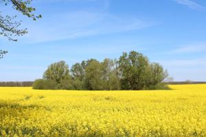 Herrenhaus Blengow App.13