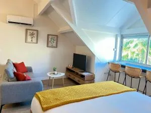 Studio Coconut - Baie Nettle