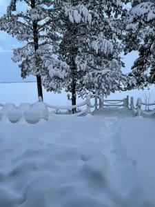 Wilderness Villa Lamu