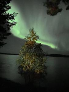 Wilderness Villa Lamu