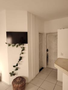 Flat ideal no centro de pipa!
