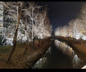 Felice studio Bianco