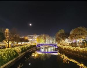 Felice studio Bianco