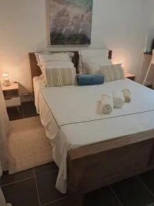 Votre Havre de Paix à Sainte-Marie Studio Calme et Verdoyant à Louer - Quartier Belle-Étoile