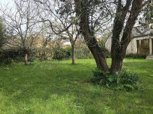 Chalets Chalet Mimosa : photos des chambres