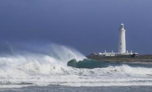 Seal Point Apartments
