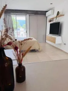 moderno monoambiente con vista al cerro - San Javier