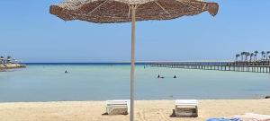 منتجع سكانديك