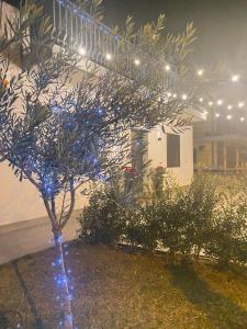 CASA VACANZA DAMAR 2