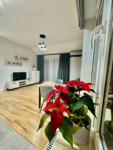 Apartament Oleńka