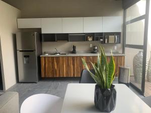 Begonias Loft a 5 Min Del Auditorio Telmex