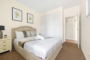 Modern Apt - Free Parking - Convenient Location