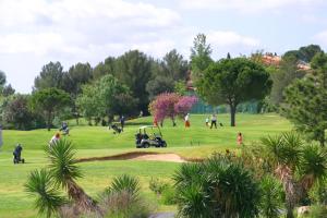Residence De Tourisme Cote Green photo 21