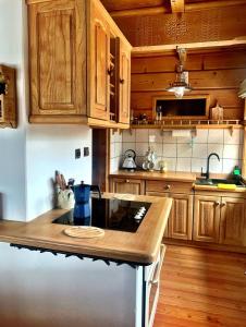 Mountain cozy house in Tatras with stunning view