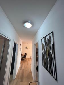 Sunshine Deluxe 80m2 apartment with pool, 50 m2 garden lounge and outdoor space
