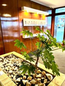 Disfrutá a metros del mar