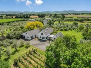 Olive Grove Estate - Kahutara