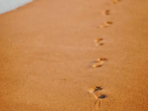 Studio confortable avec vue mer, animaux acceptés - FR-1-652-48