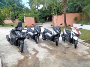 Beautiful Flower Resort