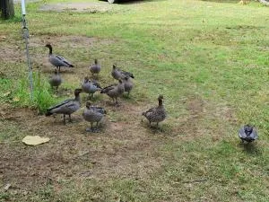 Rainbow Retreat by Tiny Away - Sidebottom