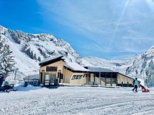 Appartement 2 pièces, ski aux pieds, 4 pers, Avoriaz - FR-1-314-291