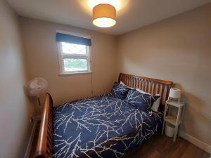 930R-B1 The Old House