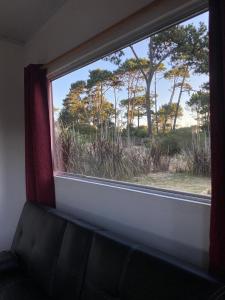 Desconectar para Conectar