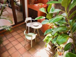 Nice penthouse with sea views in Santa Cruz de La Palma