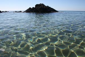 a vacation that becomes a dream img21