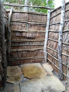 Mida Creek Eco Camp - lodge